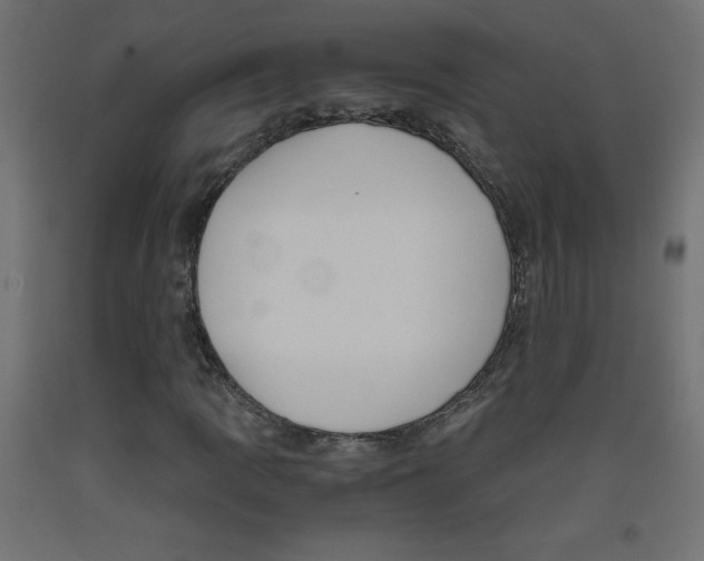 X0000093531109200710121143