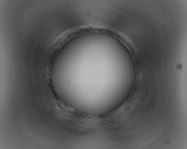 X0000093531110200710121143