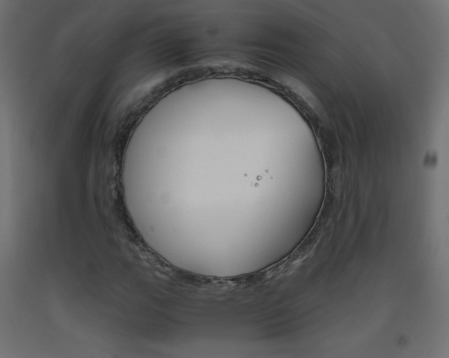 X0000093531111200710121143