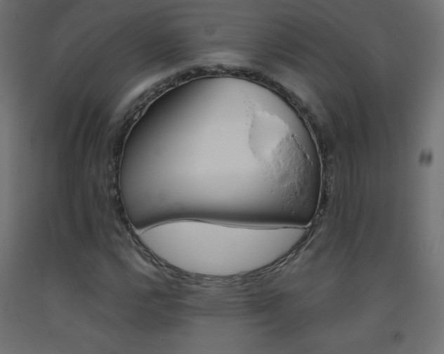 X0000093531112200710121143