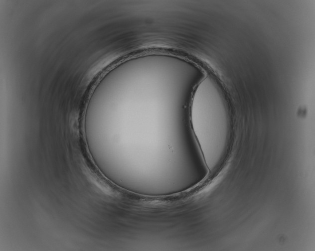 X0000093531113200710121143