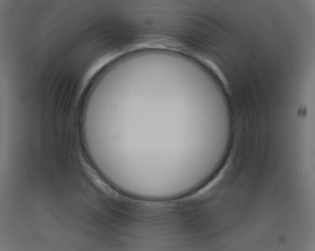 X0000093531114200710121143