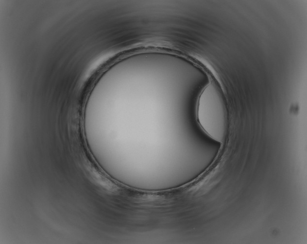 X0000093531115200710121143