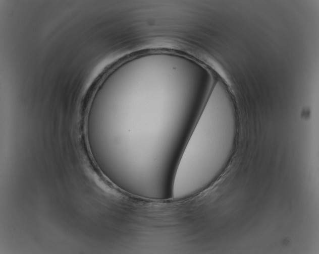 X0000093531116200710121143