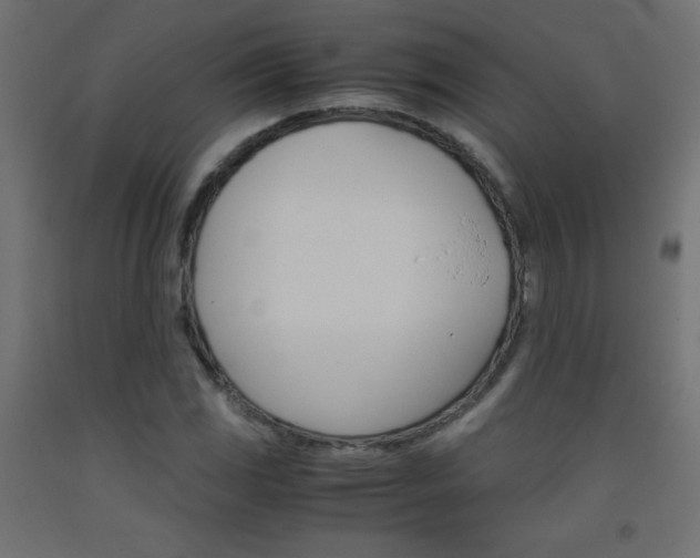 X0000093531117200710121143