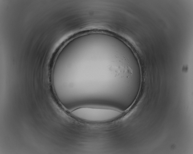 X0000093531118200710121143