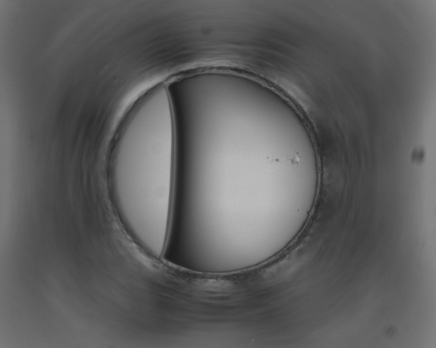 X0000093531119200710121143