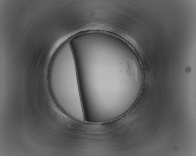 X0000093531120200710121143