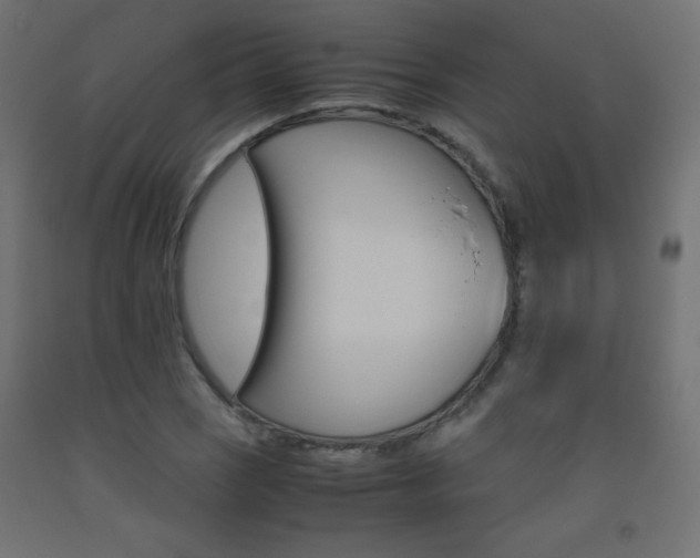 X0000093531121200710121143