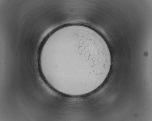 X0000093531122200710121143