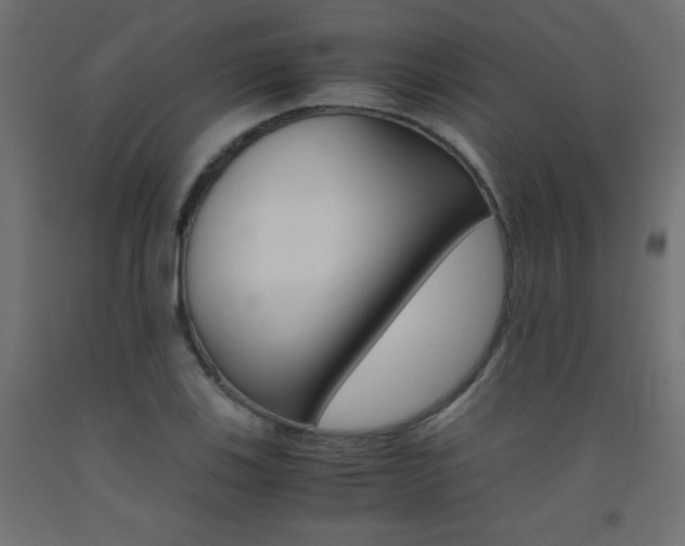 X0000093531123200710121143