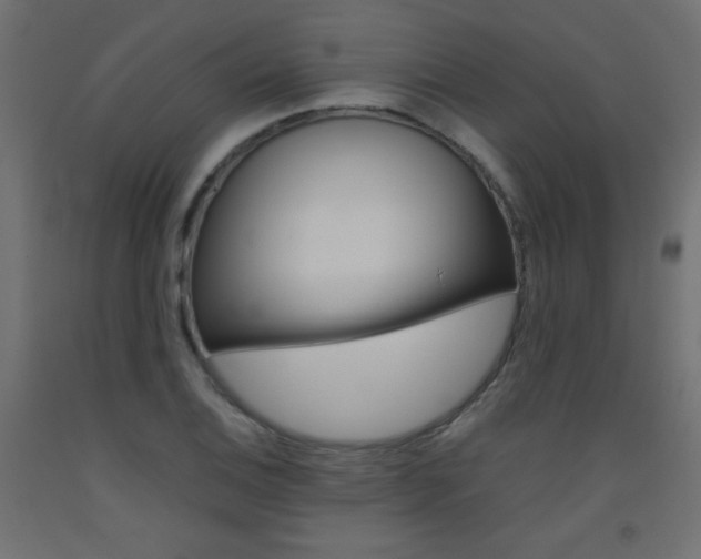 X0000093531124200710121143