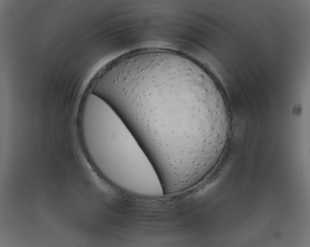 X0000093531125200710121144
