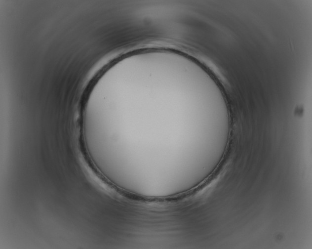 X0000093531126200710121144