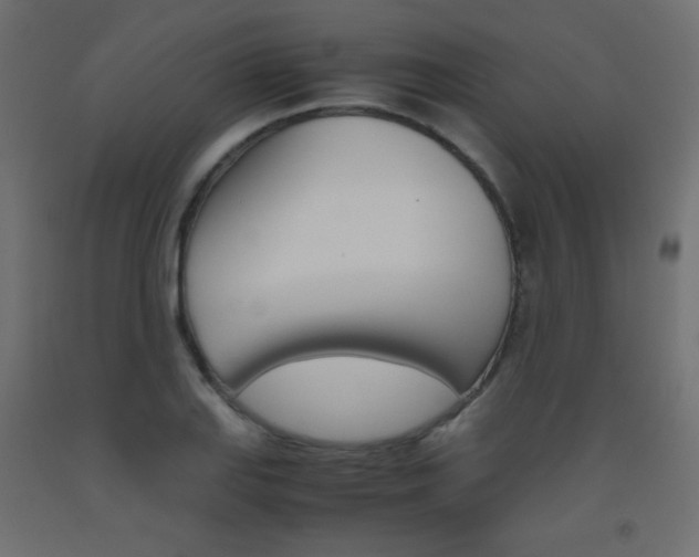 X0000093531127200710121144