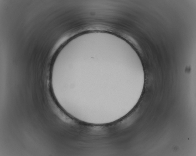 X0000093531130200710121144