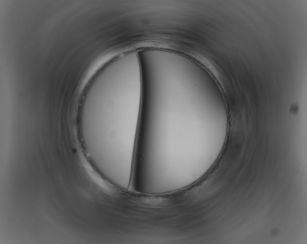 X0000093531131200710121144