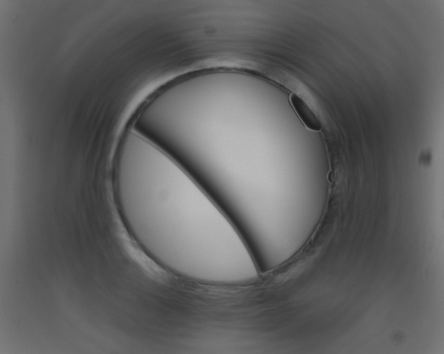 X0000093531132200710121144