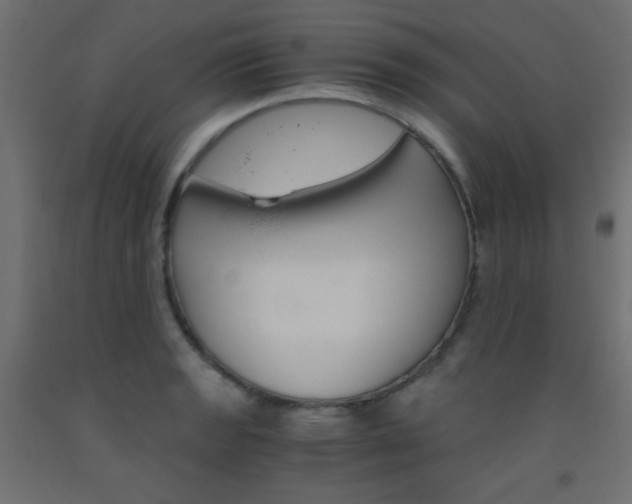 X0000093531133200710121144
