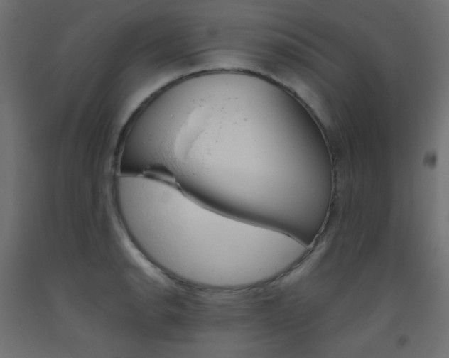 X0000093531134200710121144
