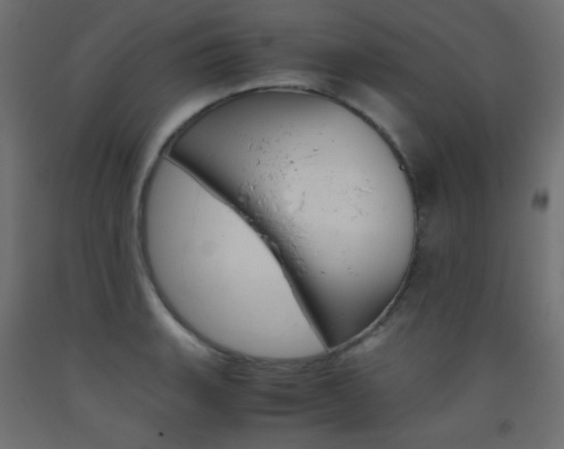 X0000093531135200710121144