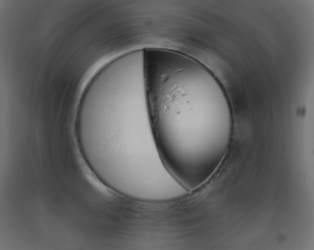 X0000093531136200710121144