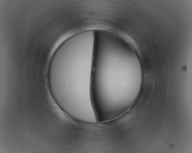 X0000093531138200710121144