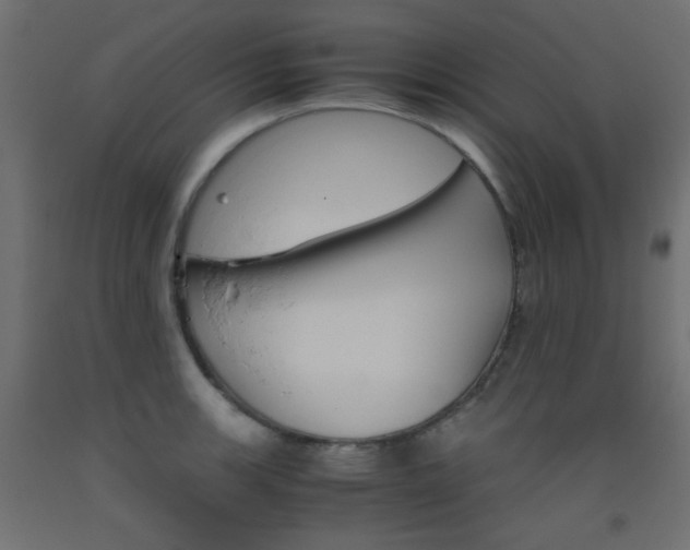 X0000093531139200710121144