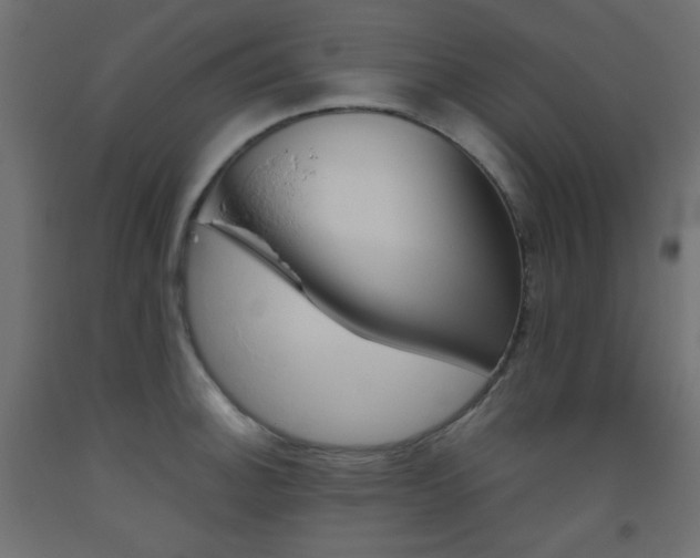 X0000093531140200710121144