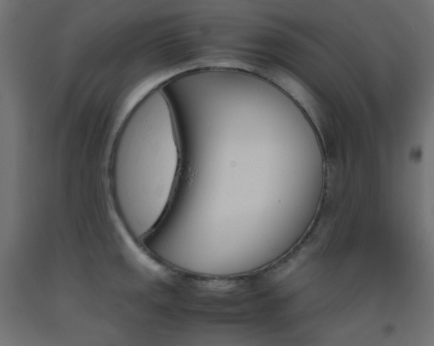 X0000093531141200710121144