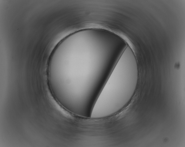 X0000093531142200710121144