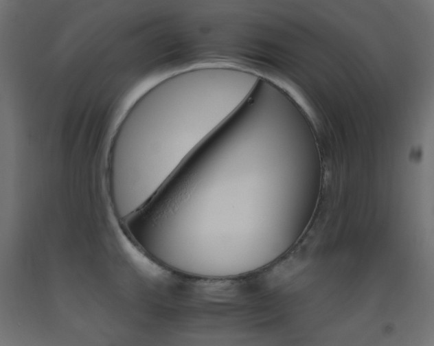 X0000093531143200710121144