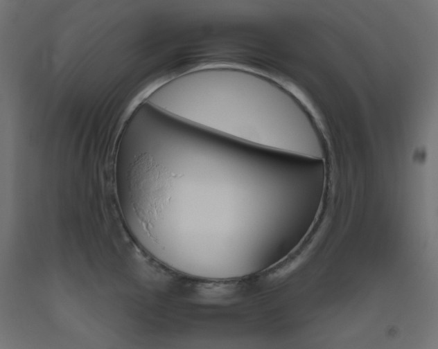 X0000093531145200710121144