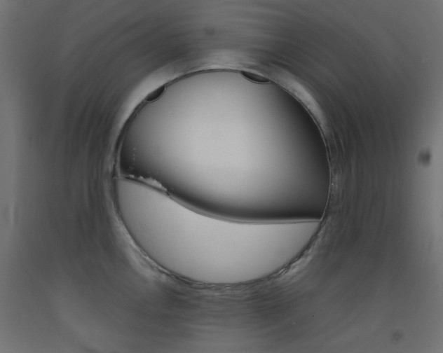 X0000093531146200710121144