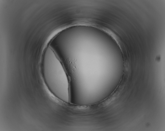 X0000093531147200710121144