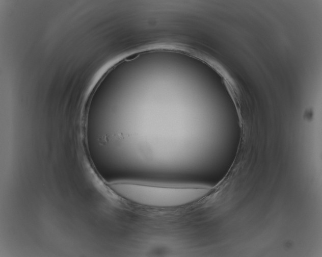 X0000093531148200710121144