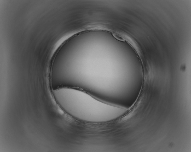X0000093531149200710121144