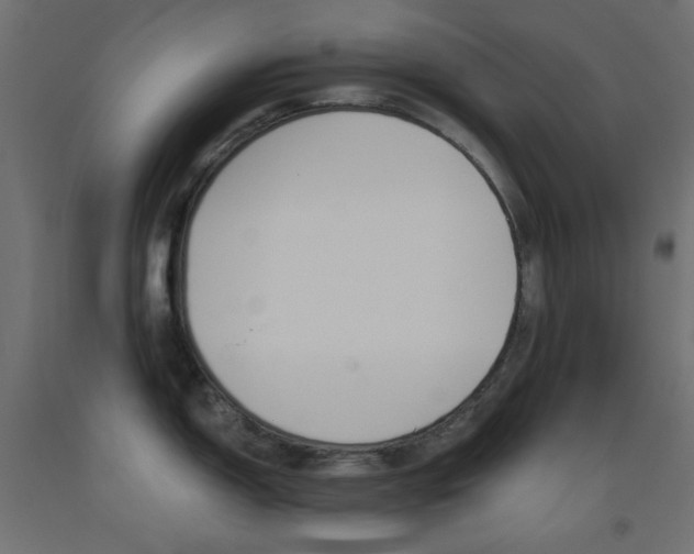 X0000093531150200710121144