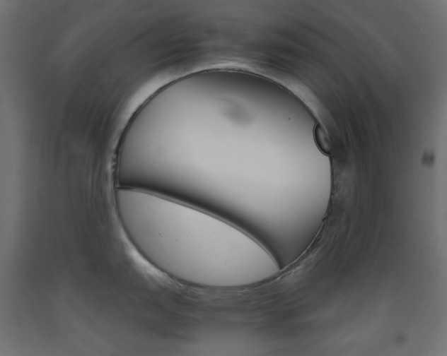 X0000093531151200710121144