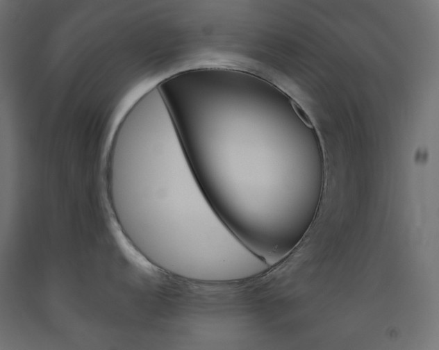 X0000093531152200710121144