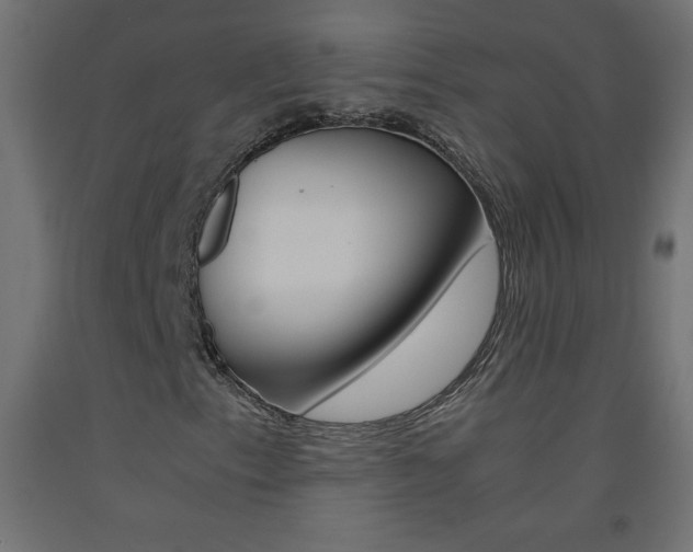X0000093531153200710121143