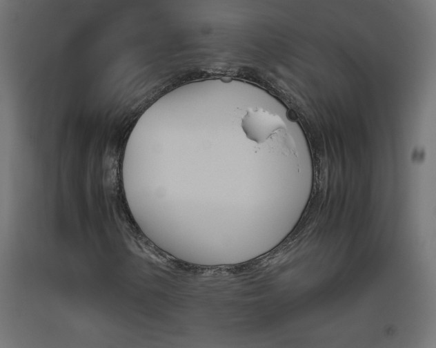 X0000093531154200710121143