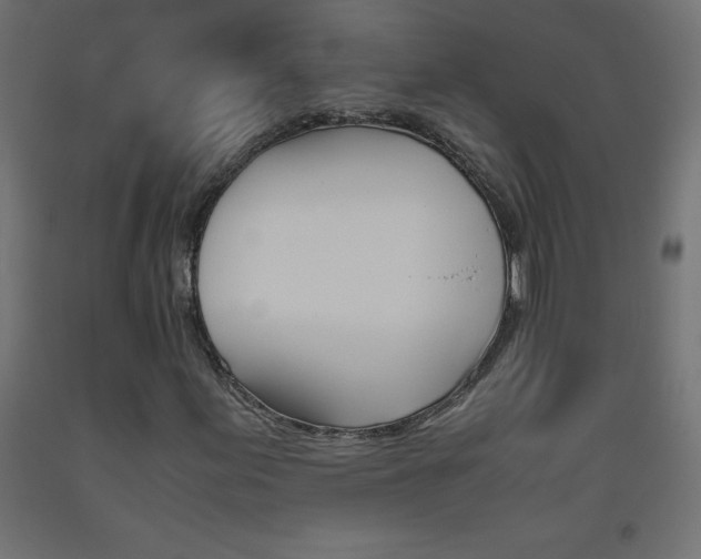 X0000093531155200710121143