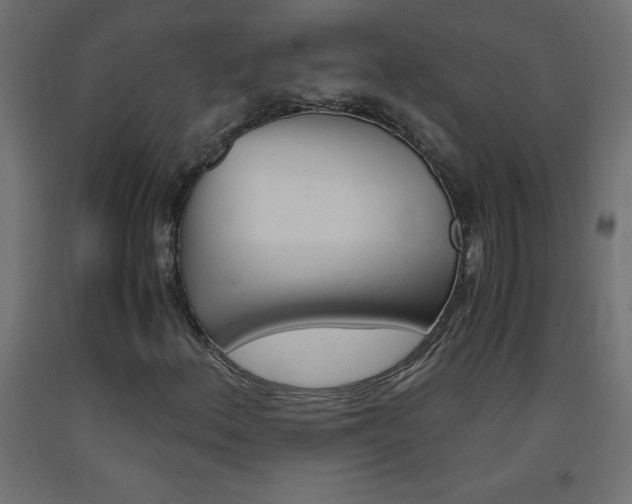 X0000093531156200710121143