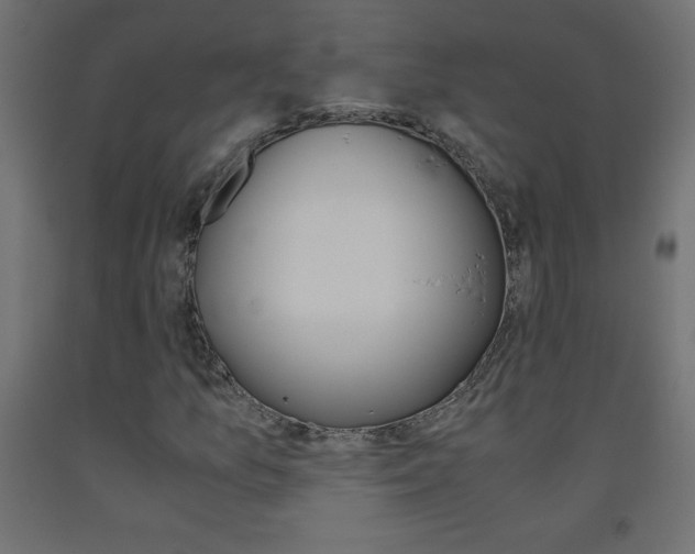 X0000093531157200710121143