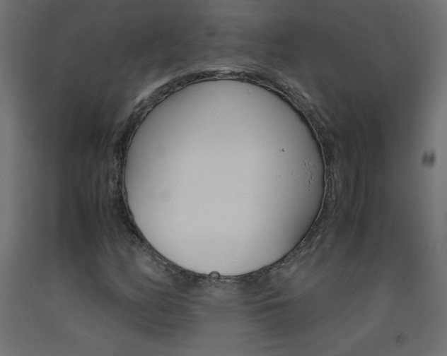 X0000093531158200710121143