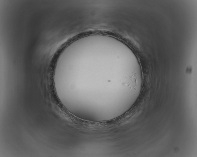 X0000093531159200710121143