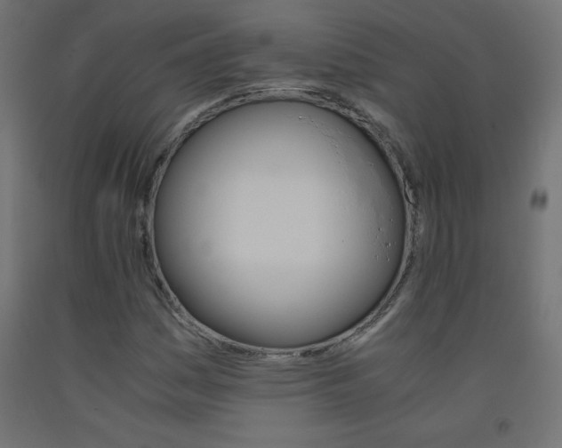 X0000093531161200710121143