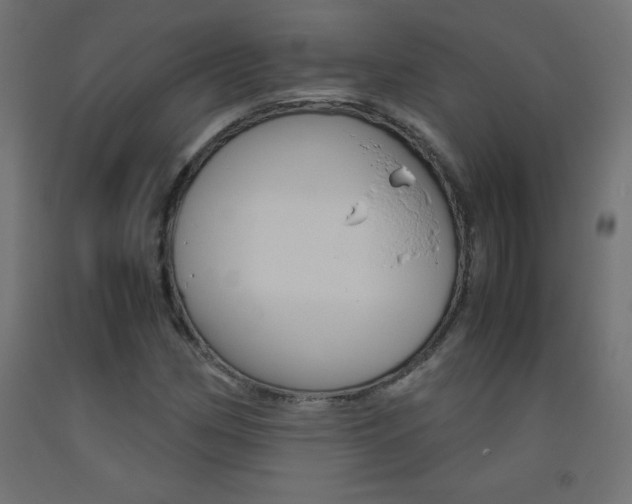 X0000093531162200710121143