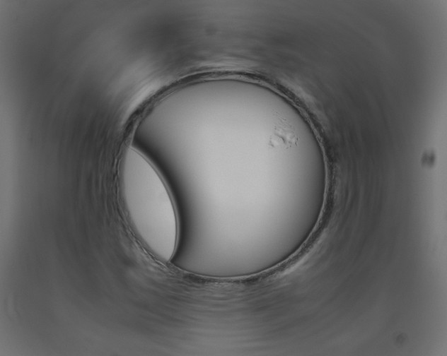 X0000093531163200710121143